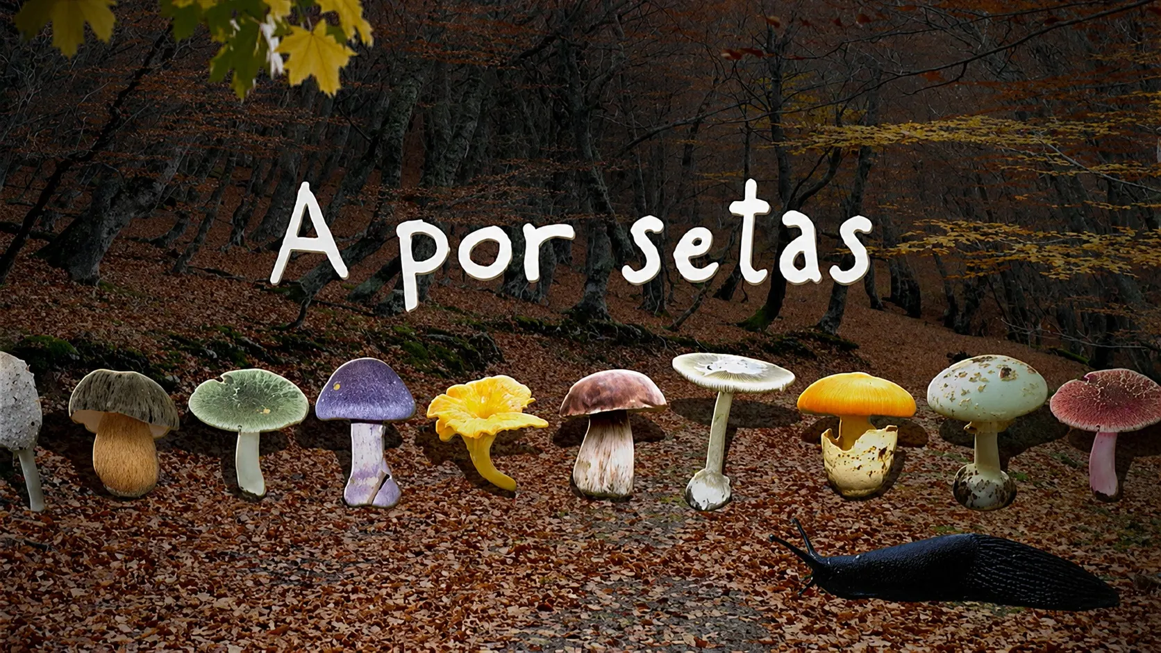 A por setas