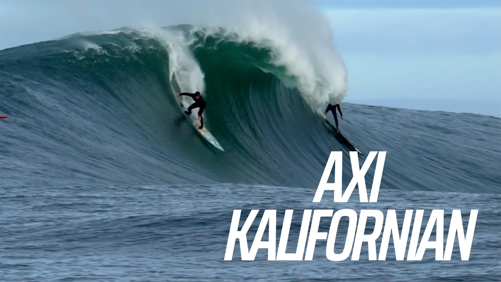 Axi kalifornian (axi muñain)