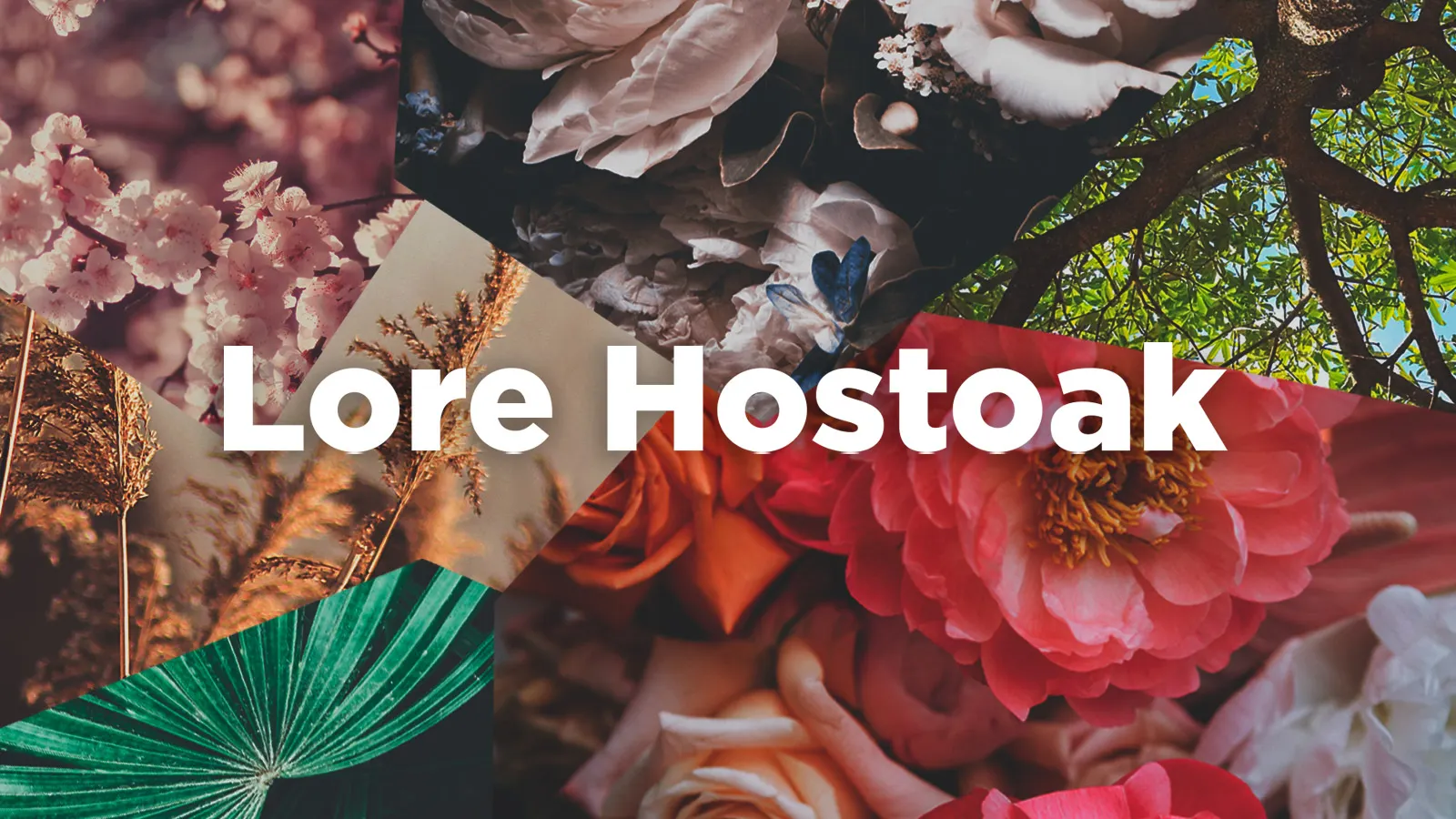 Lore Hostoak