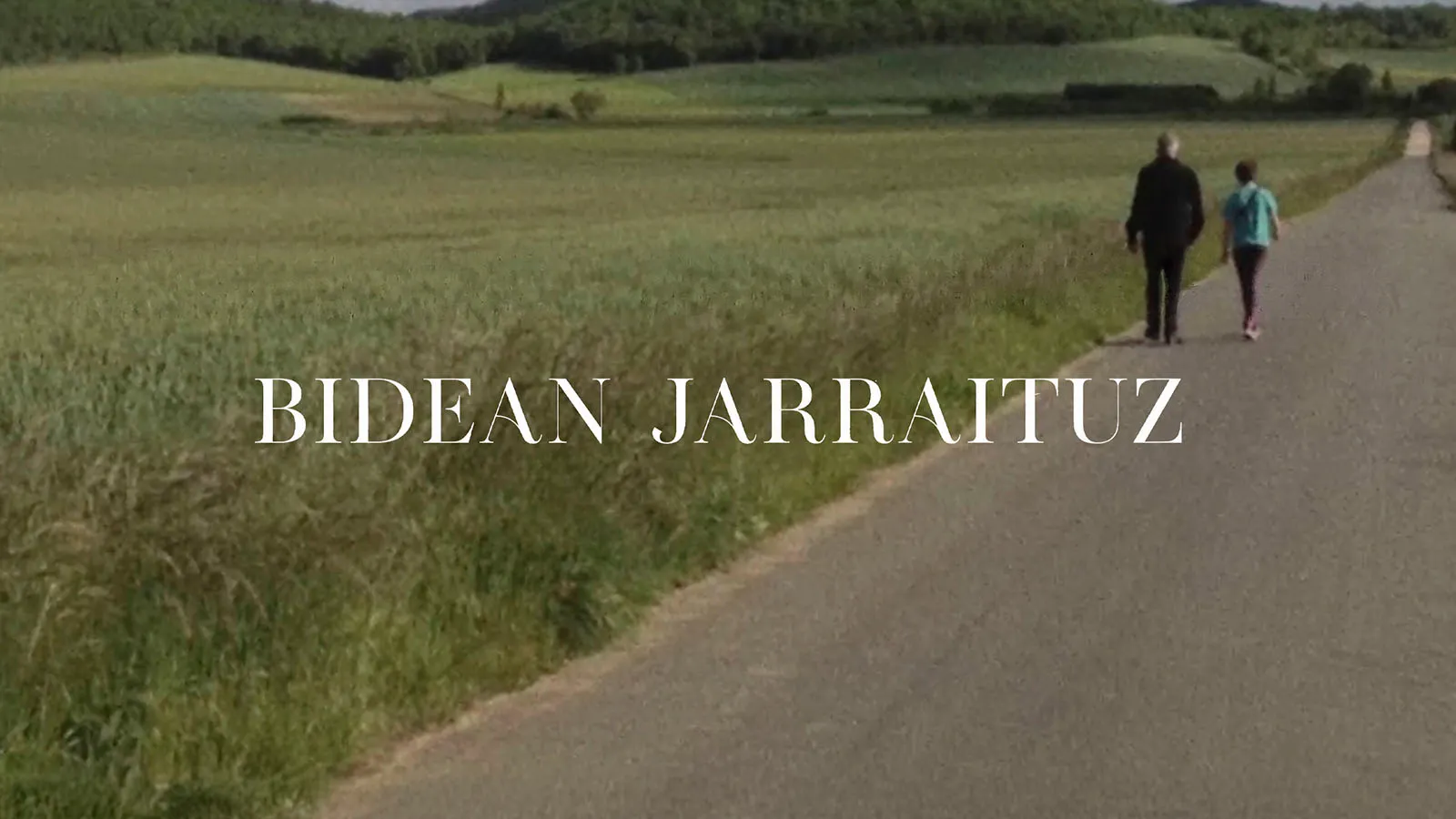 Bingen Mendizabal: Bidean jarraituz