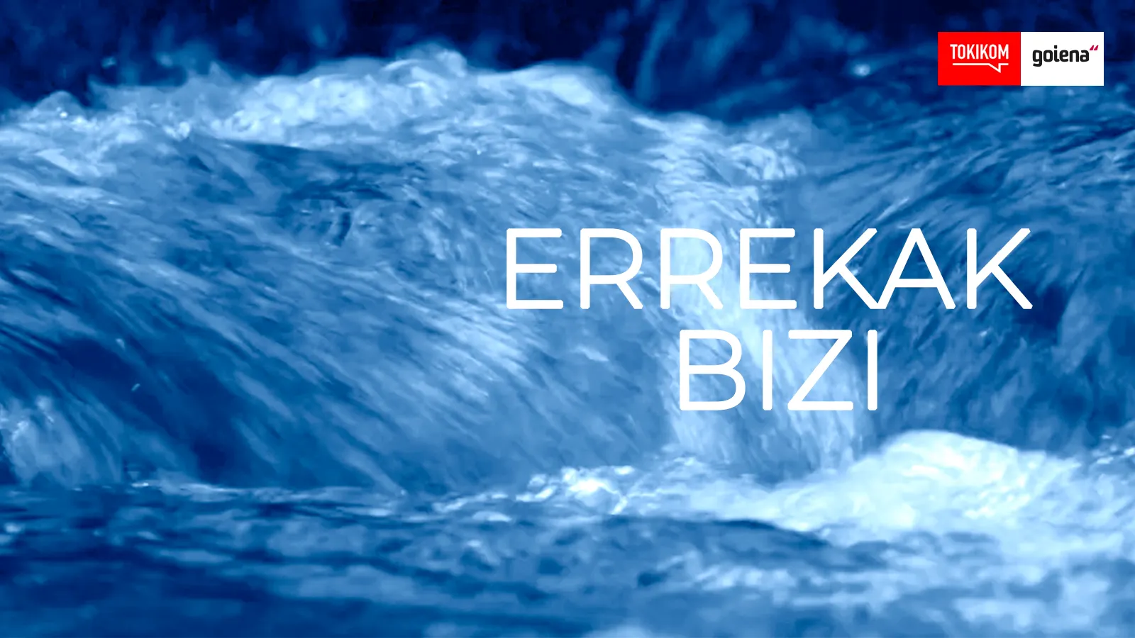 Errekak bizi