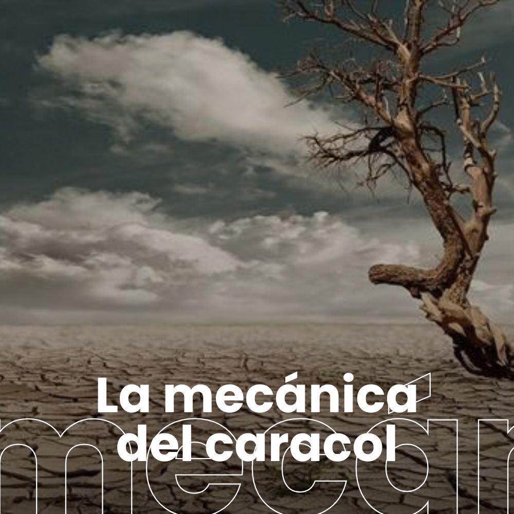 La sequía a examen: desertificación, ecosistemas en riesgo y la adaptación del sector primario