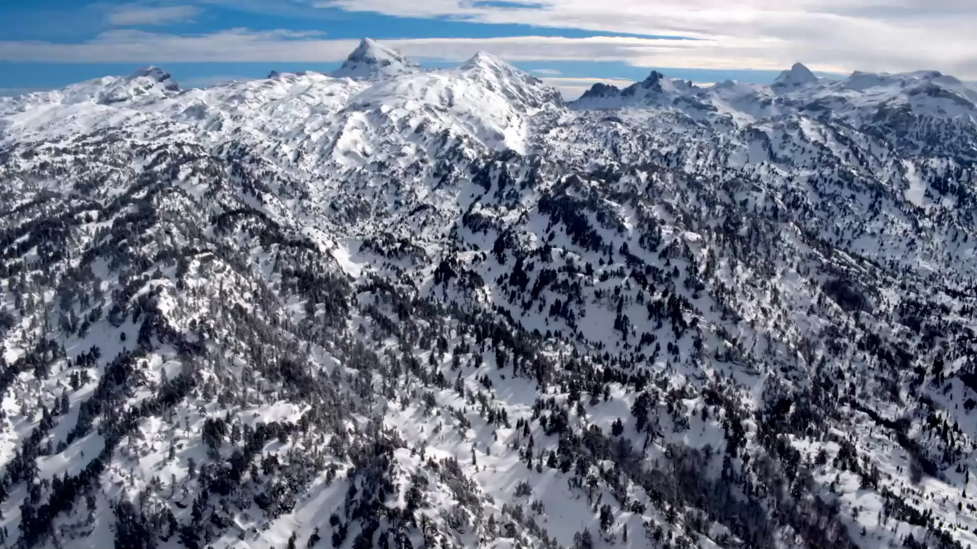 1. Pirineos. Un entorno amenazado