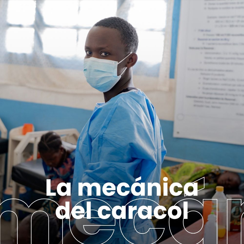 La OMS declara emergencia internacional por el brote de ébola. El estrés y el sistema inmunitario