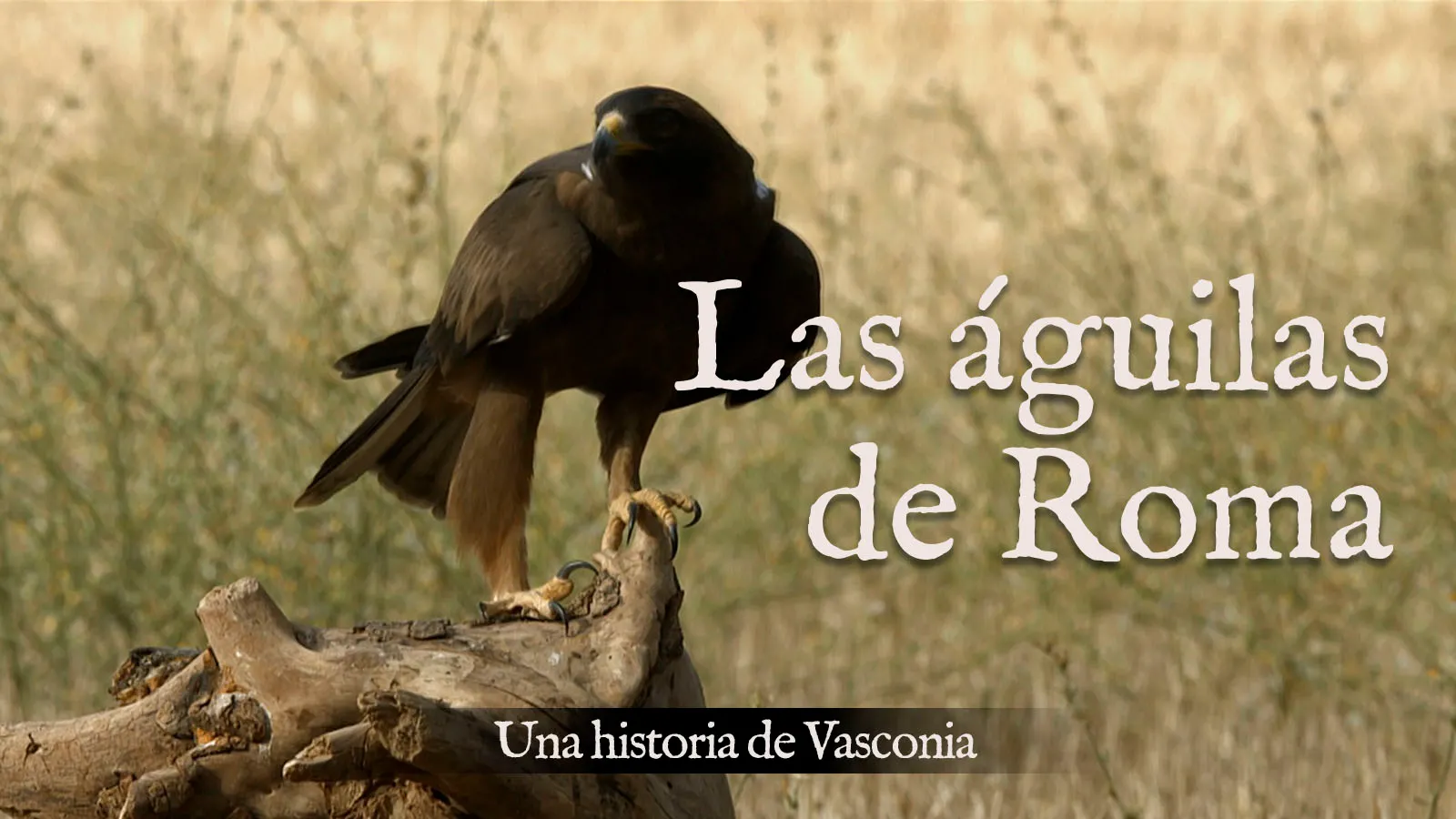 Las águilas de Roma