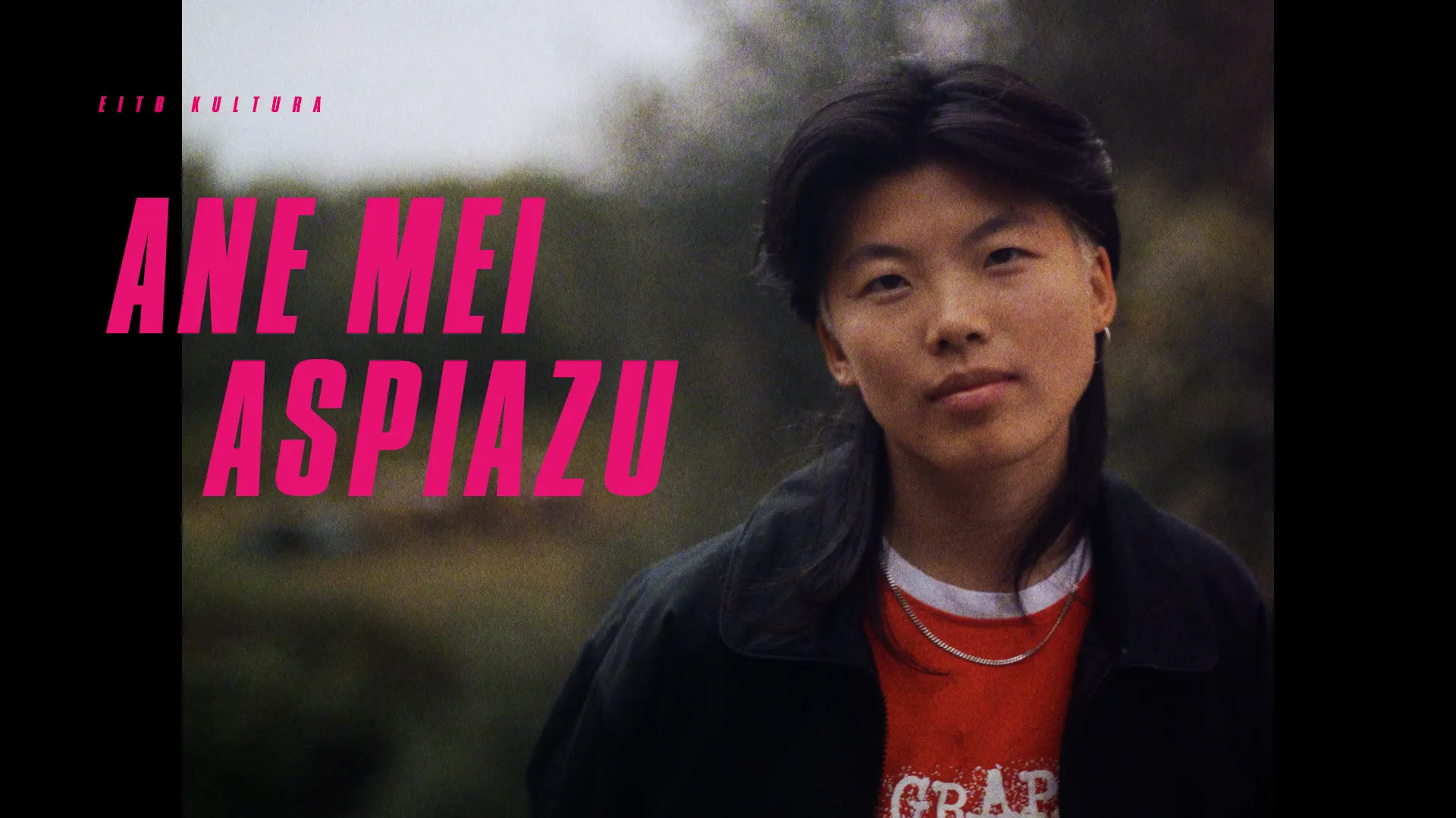 Ane Meiren kultur proposamenak