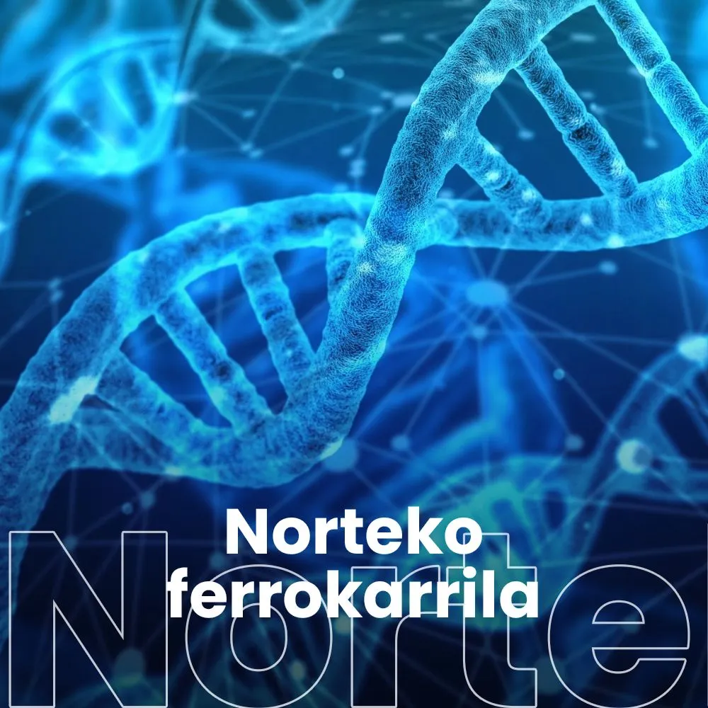 Zientzia eta teknologia