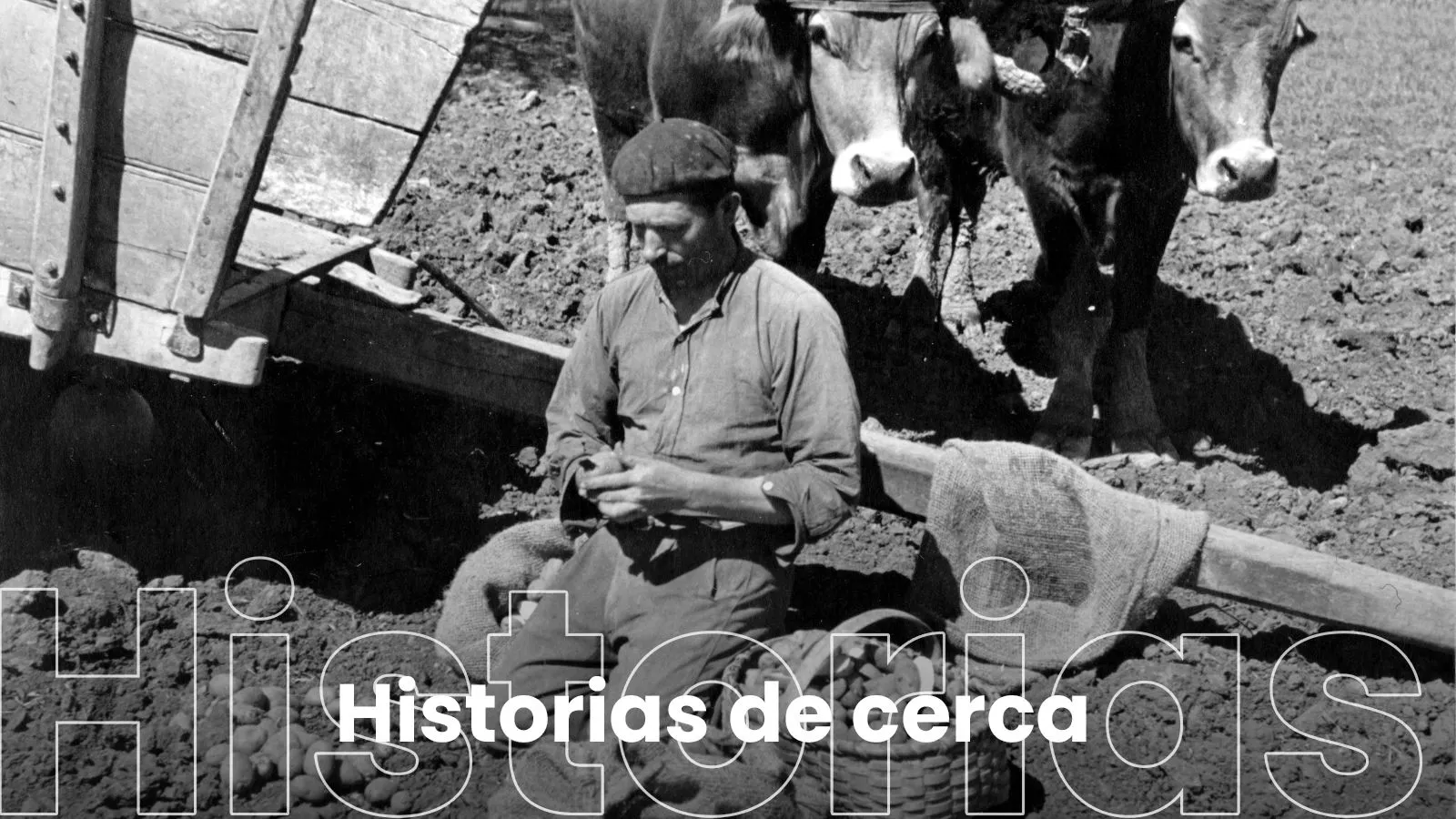 La patata, la joya de Alava