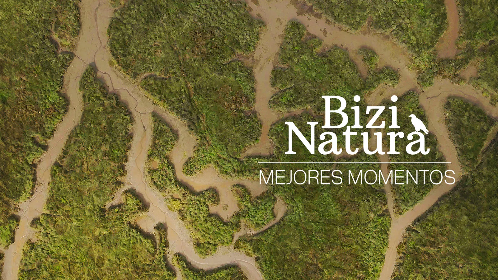 Mejores momentos