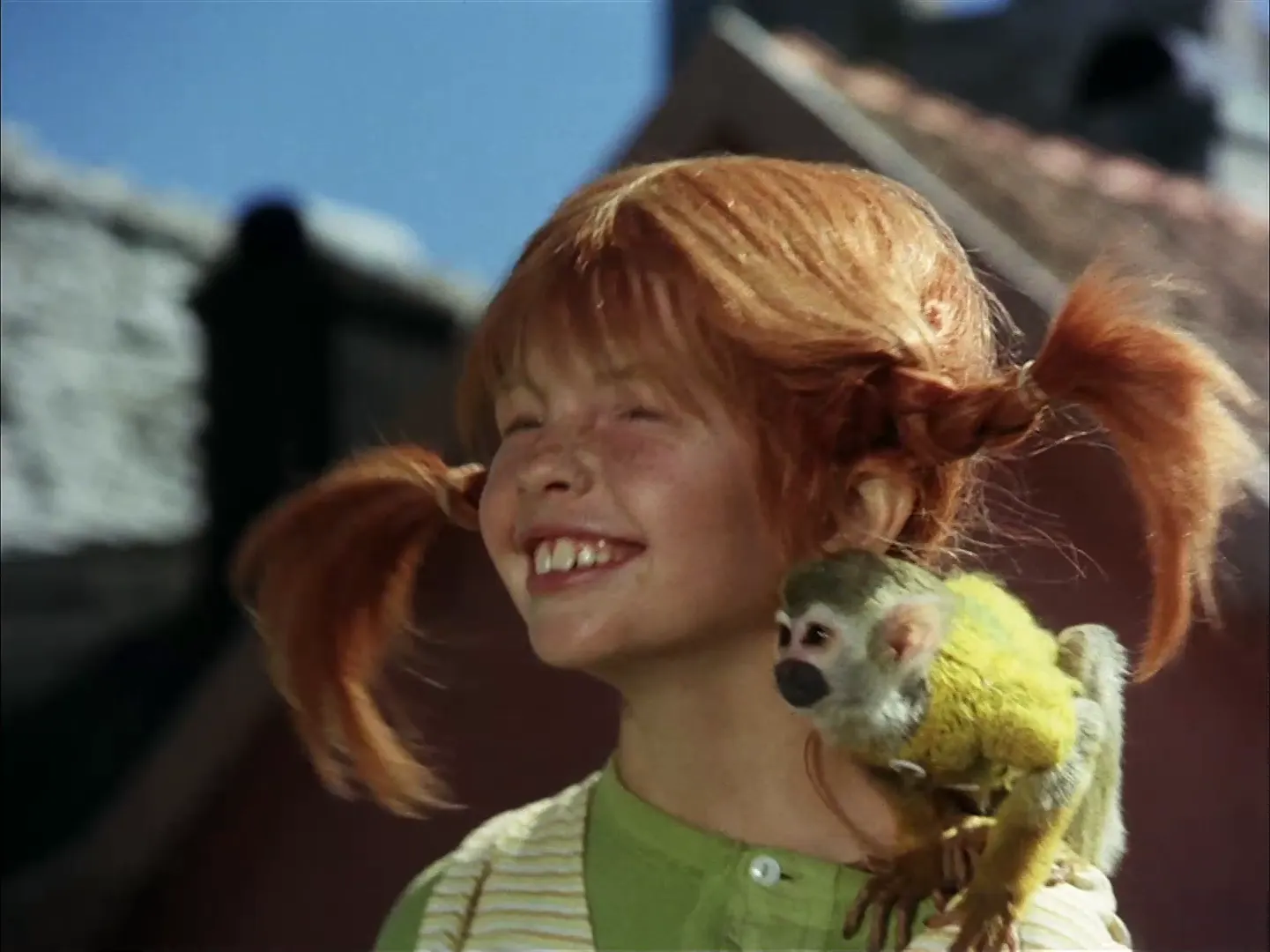 1. Pippi Mozolo mendira heltzen da