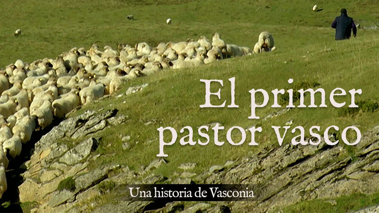 Primer pastor vasco