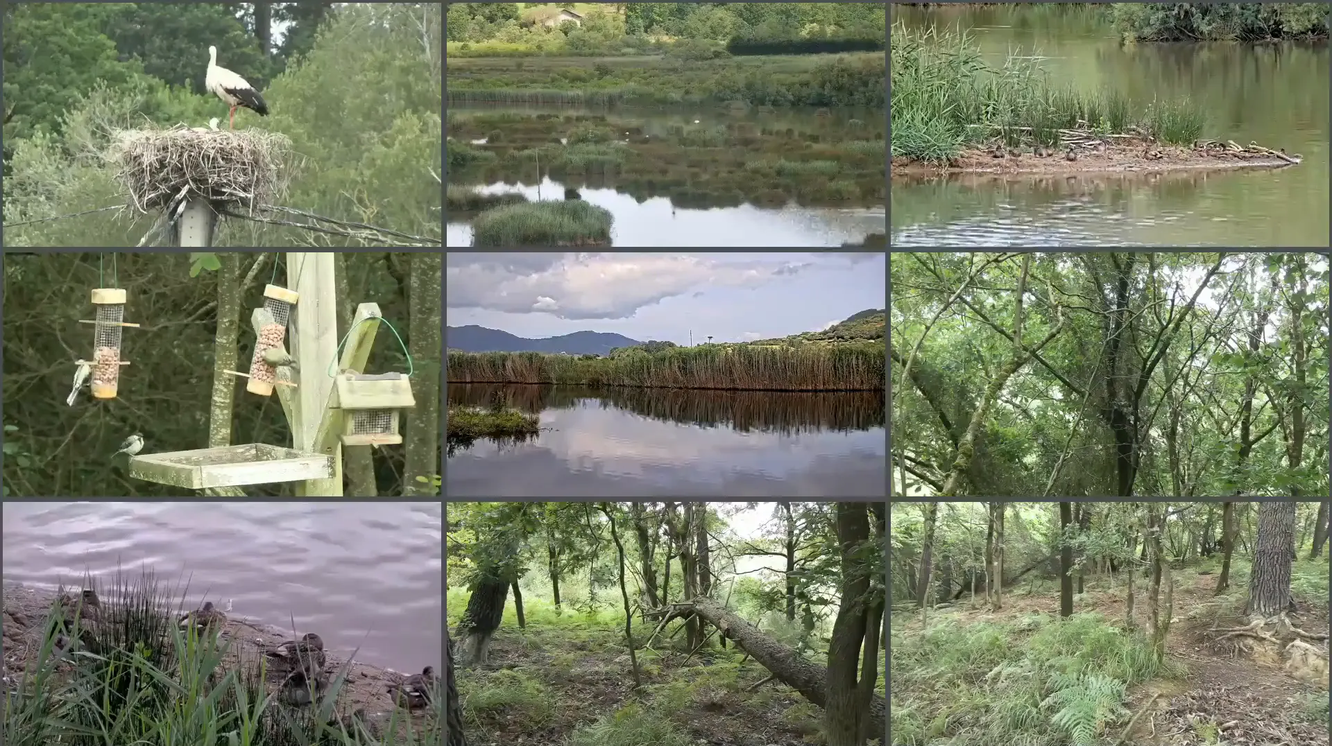Día 5 (12:00-14:00)