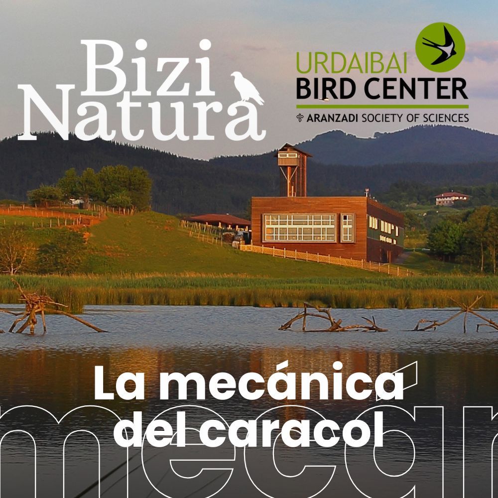 Un paseo por Urdaibai Bird center. La trampa de la transición energética, con Antonio Aretxabala