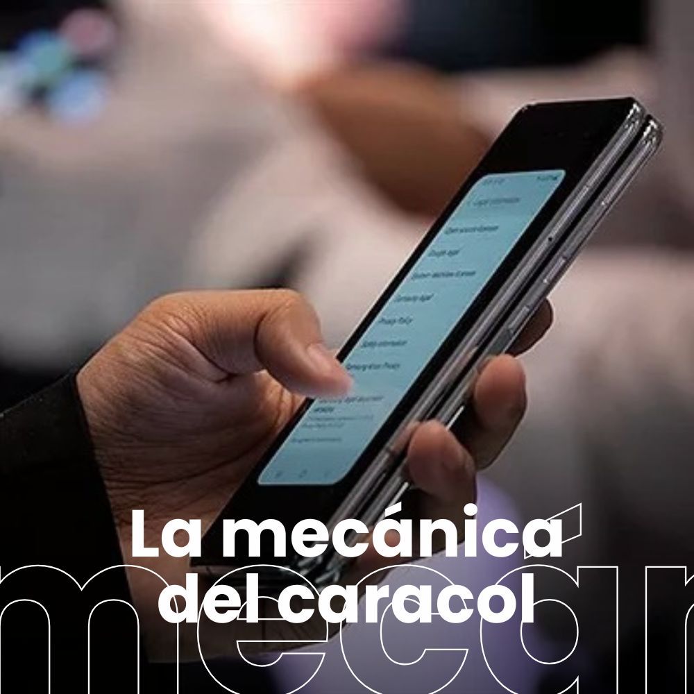 Cómo blindar la seguridad de las líneas 6G. Vincent Rijmen y la criptografía. Cómo crear una abeja reina