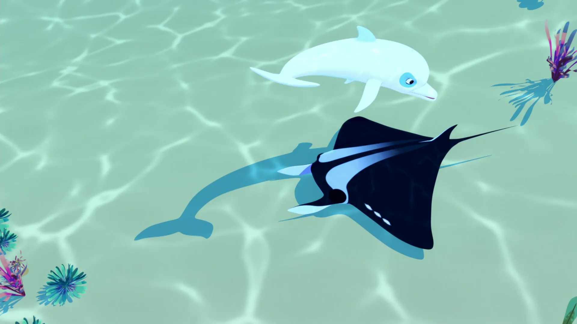 D1: 7. SOS! Manta!