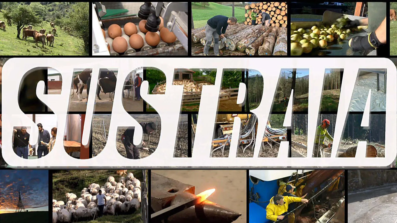 Sustraia