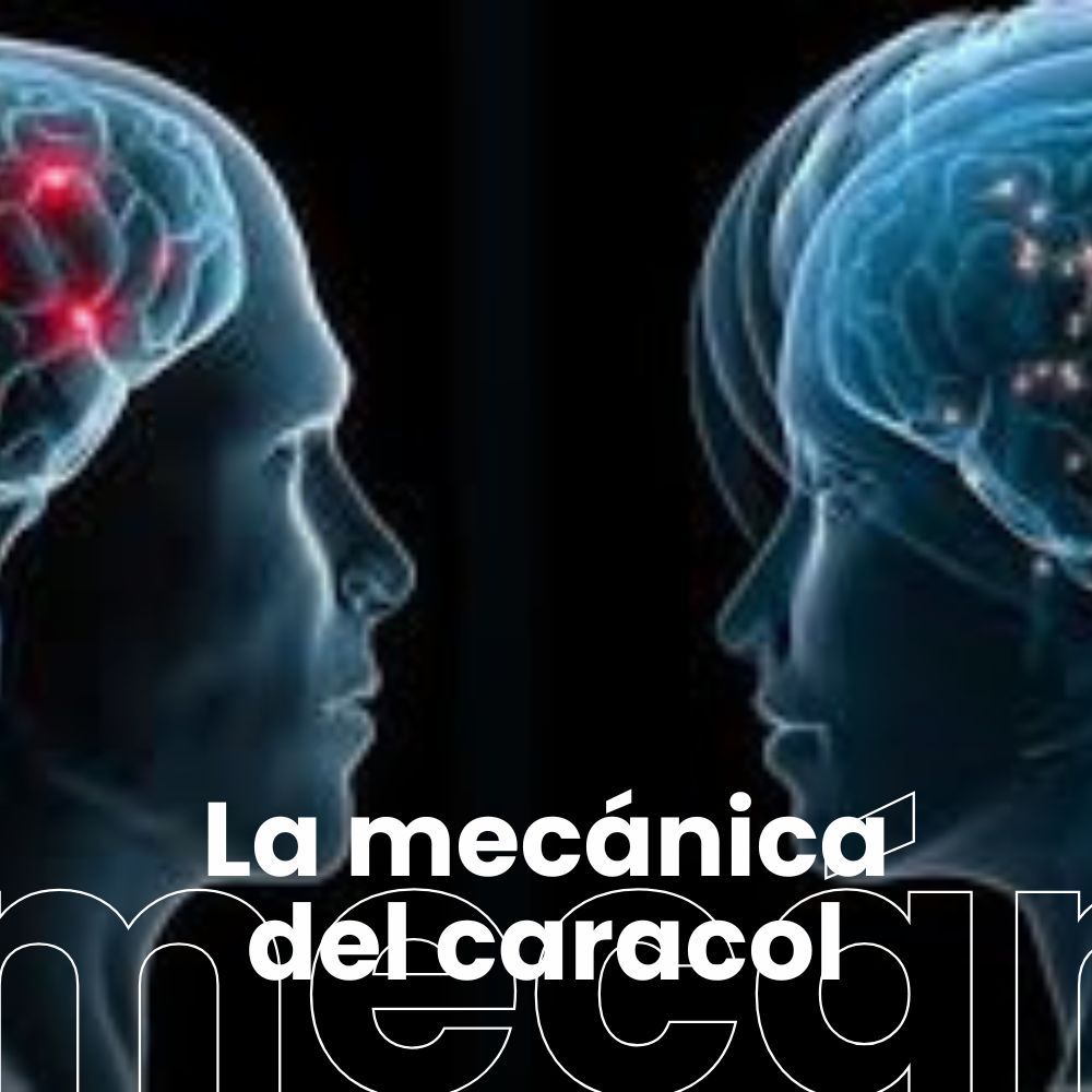 La cocaina reconfigura el cerebro. Historia de las partes bajas
