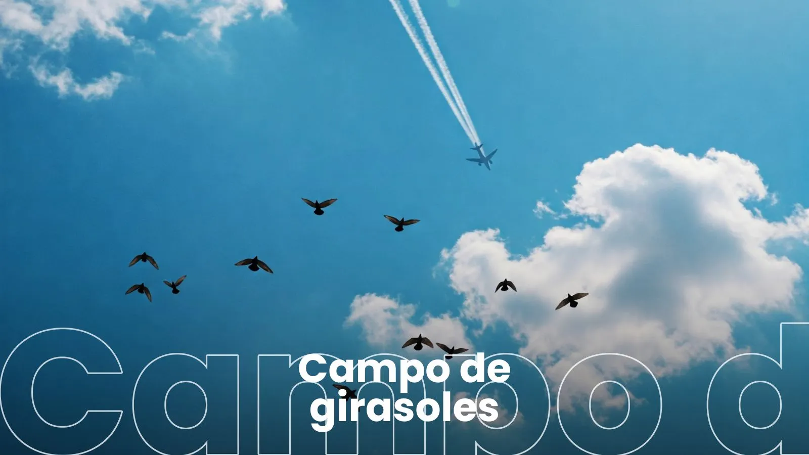 Cielo