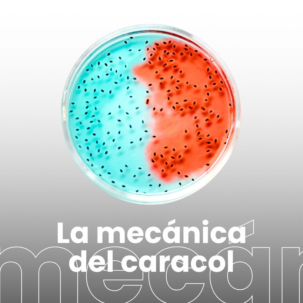 Investigación para hacer frente a la crisis de la resistencia a los antibióticos