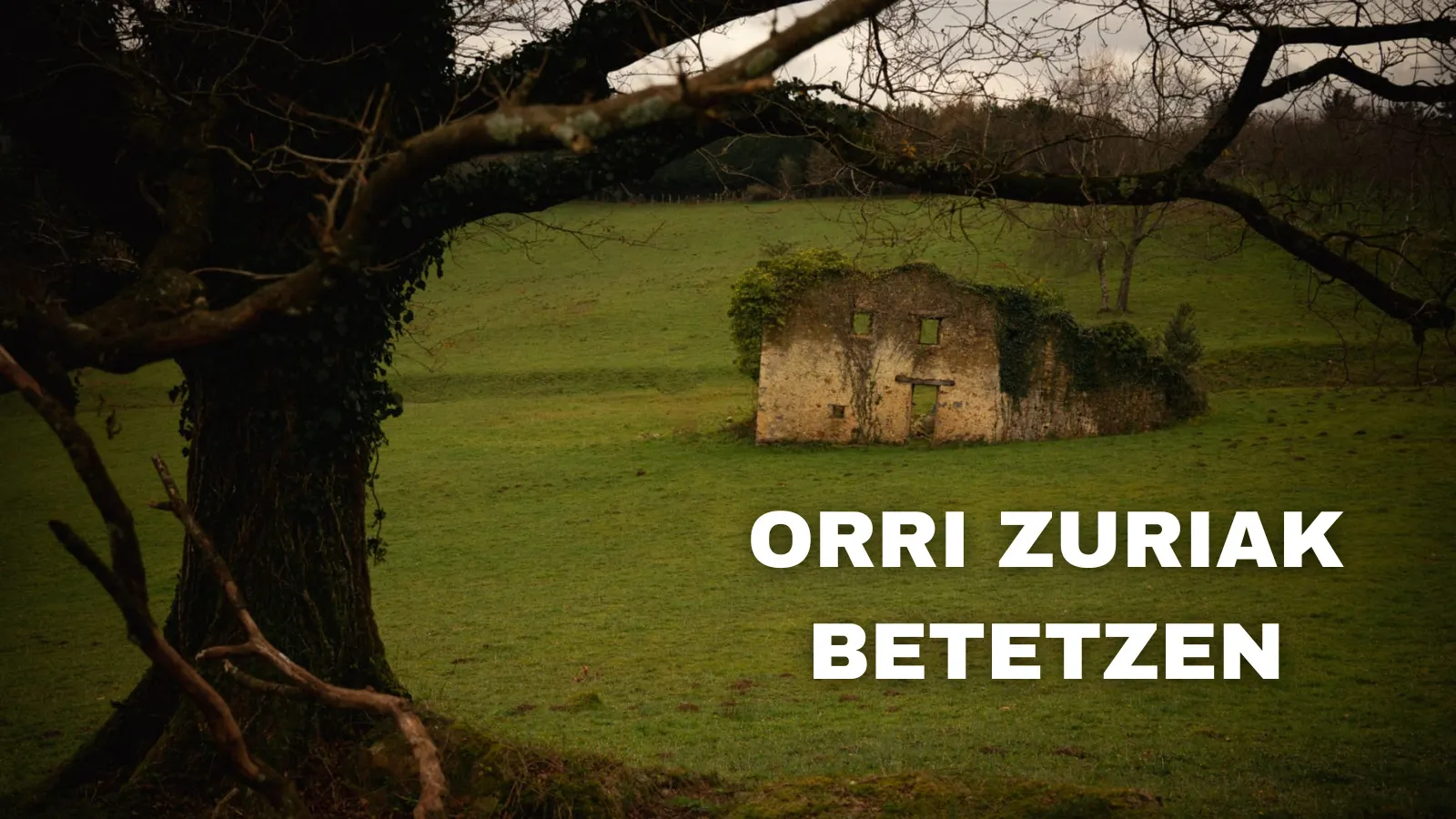 Orri zuriak betetzen