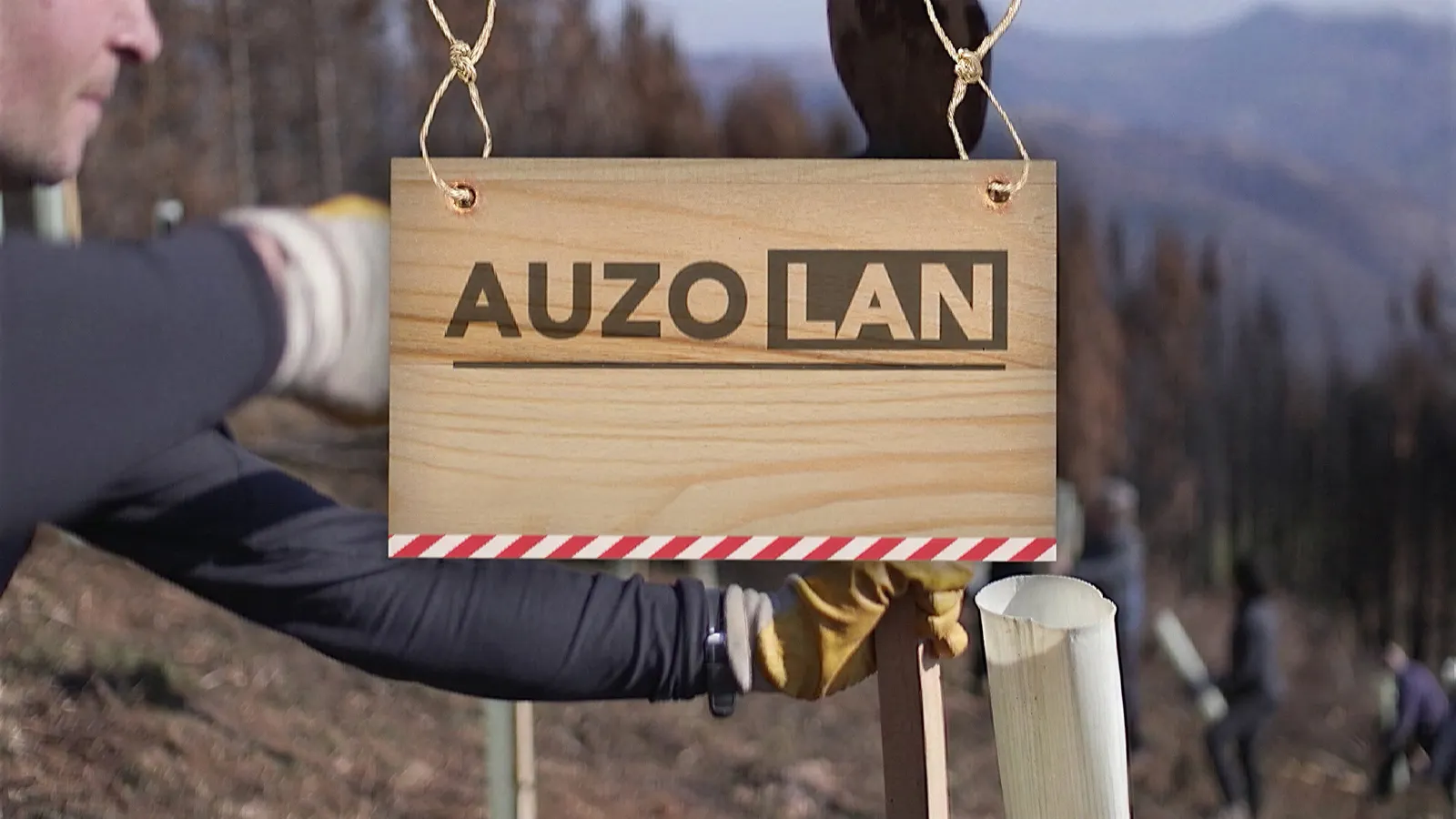 Auzolan