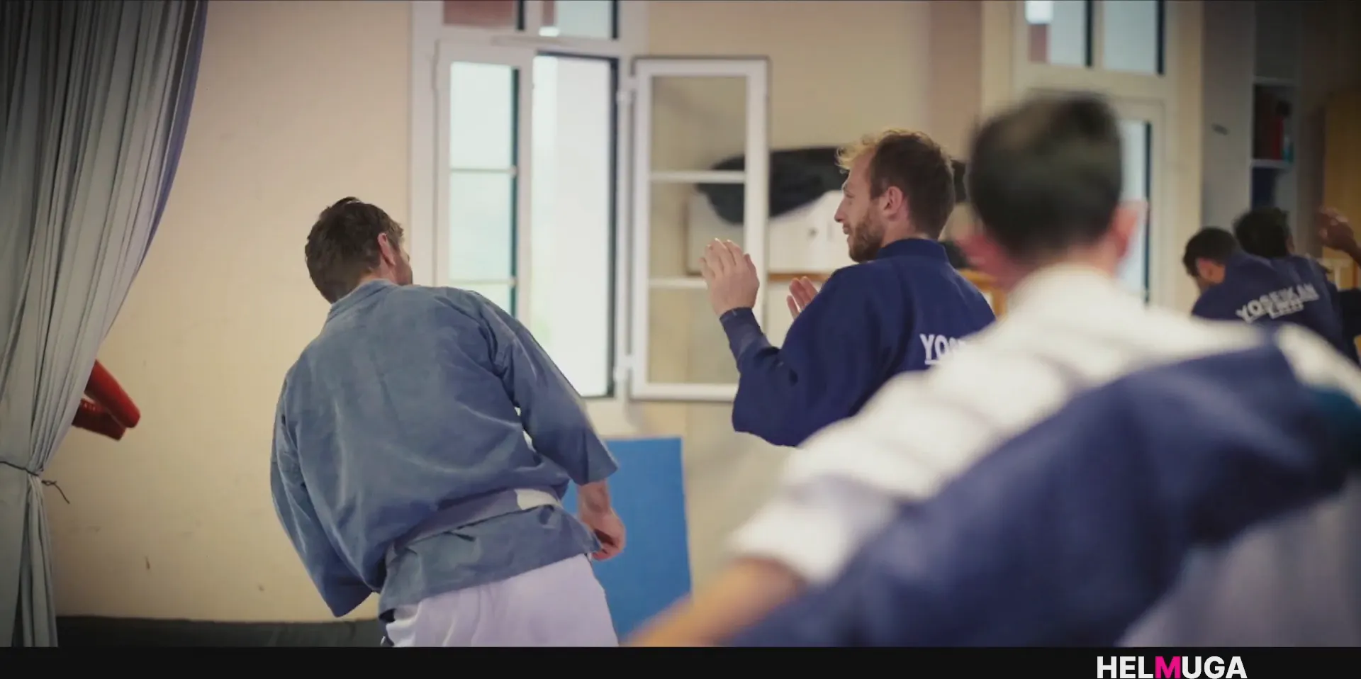Yoseikan Budo