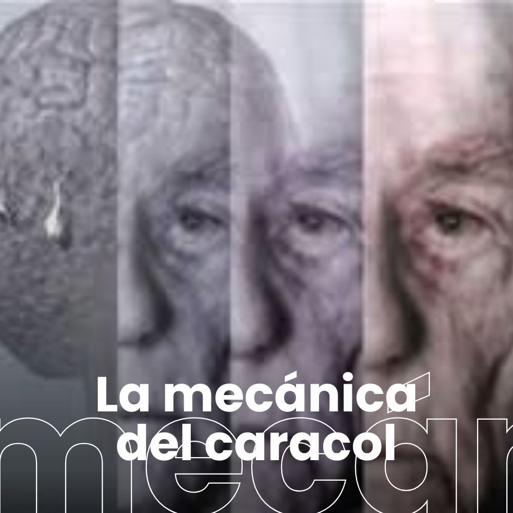 La predisposición genética al alzheimer y econsumo de carne. Tecnologías del lenguaje. Historia del SMS