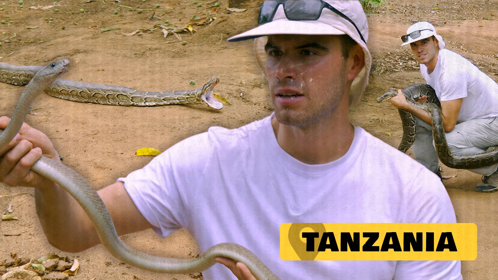 3. Cara a cara con la mamba negra