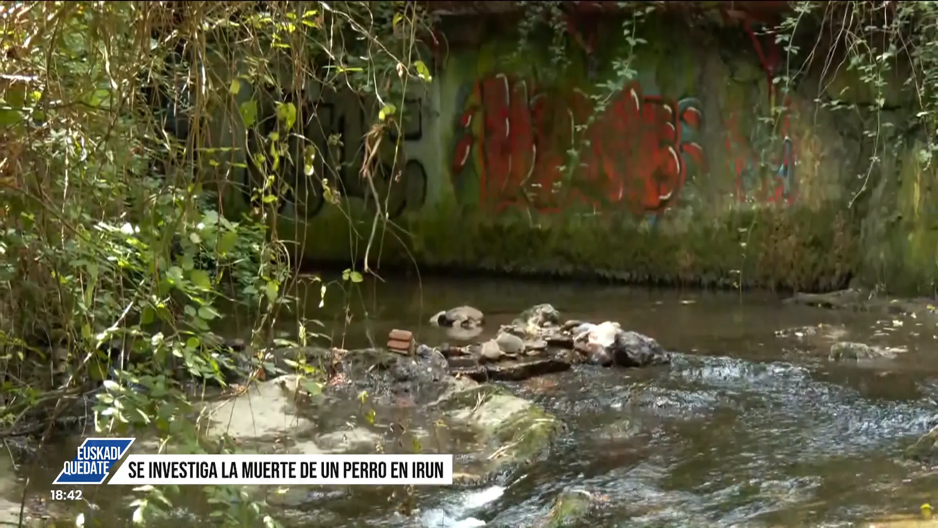 Capítulo 206