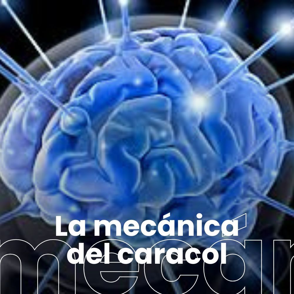 Neuronas en Marcha: cómo el cerebro se beneficia del ejercicio. Día mundial del Parkinson