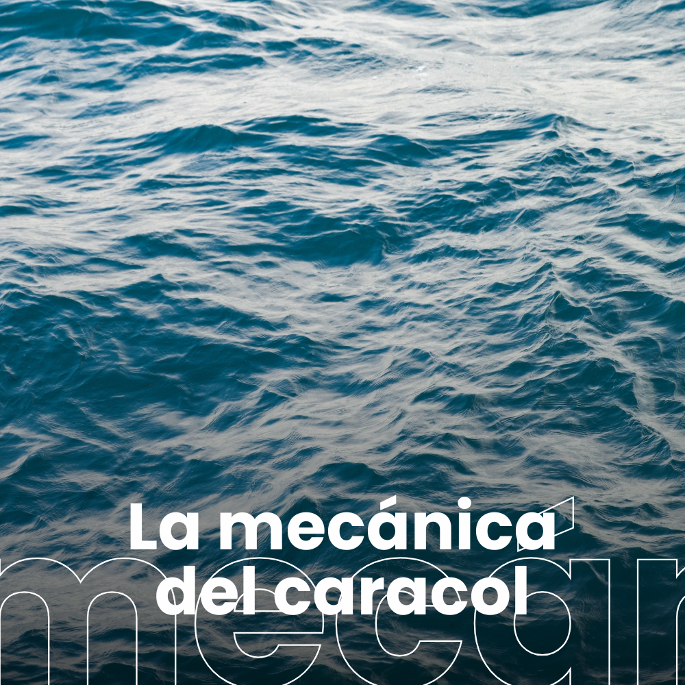La temperatura del mar bate récord en junio. Talleres para aprender sobre ADN. El comercio en la antigua Roma