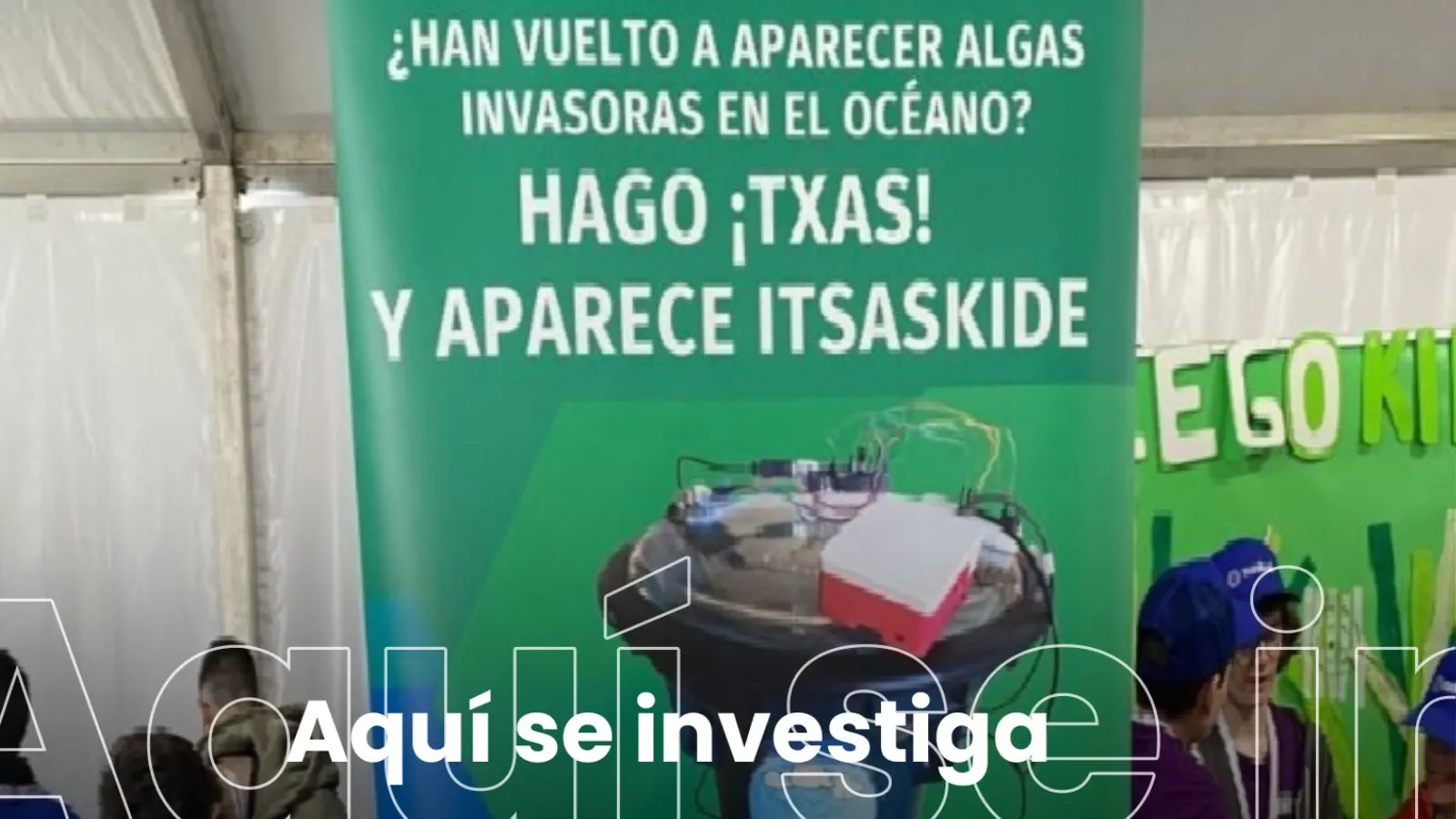 Una boya inteligente para acabar con las algas invasoras