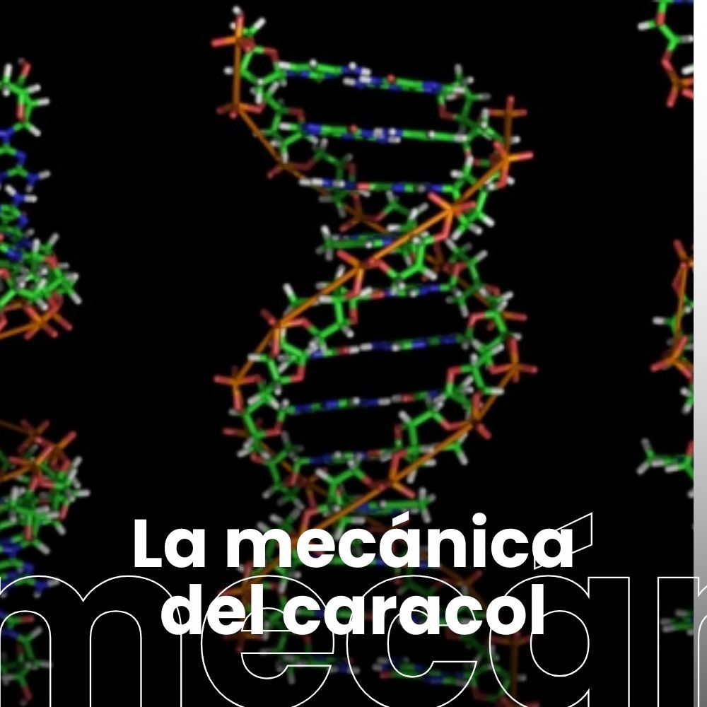 Epigenética, las decisiones que escriben y borran instrucciones en las células. Matemáticas contra el cáncer