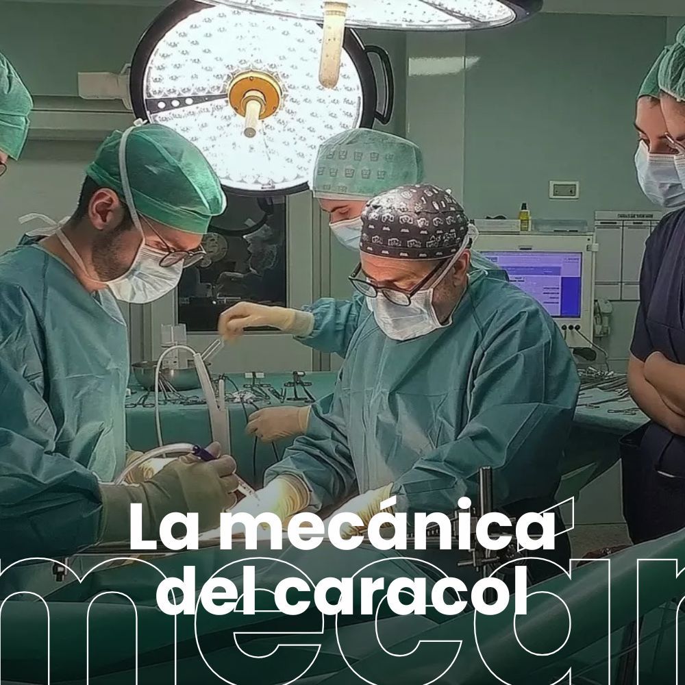 Cirugía para el alzheimer. Las hormonas sexuales y la formación de la memoria. Jaque al estrés