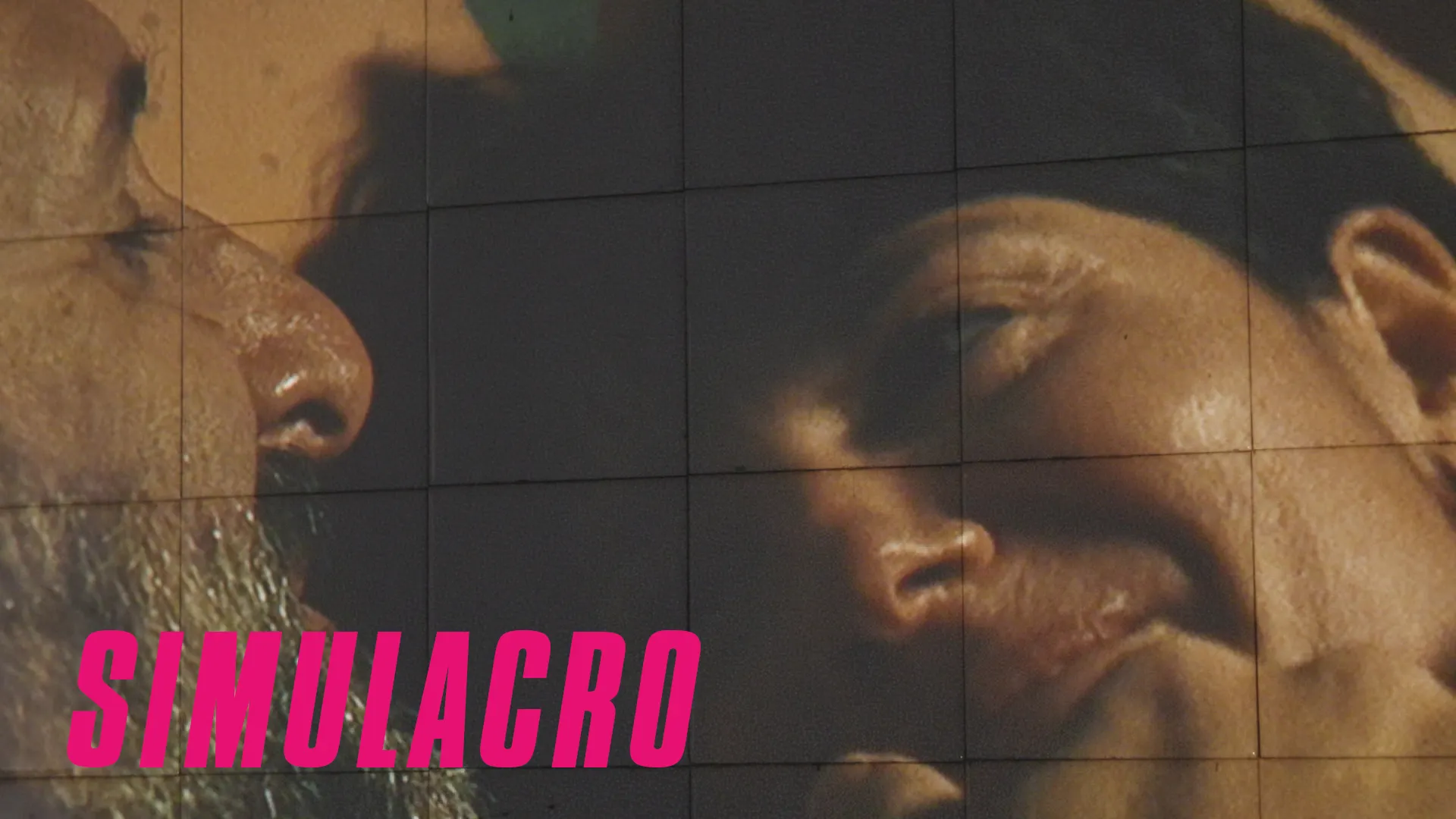 Simulacro, Nitya Lopez Saituaren opera prima