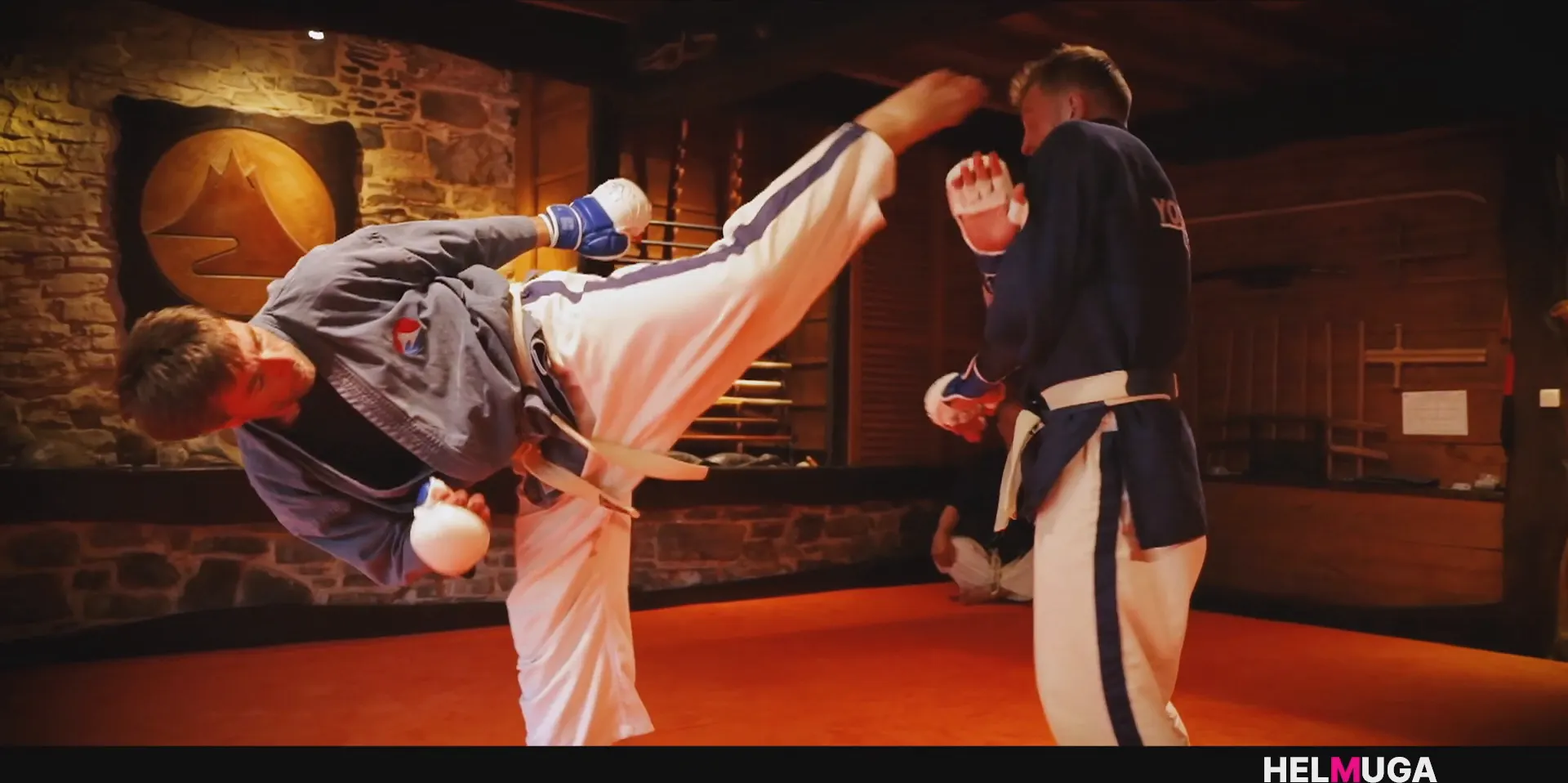 Yoseikan Budo