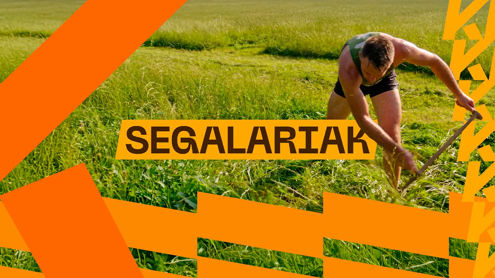 Campeonato de Euskadi de segalaris