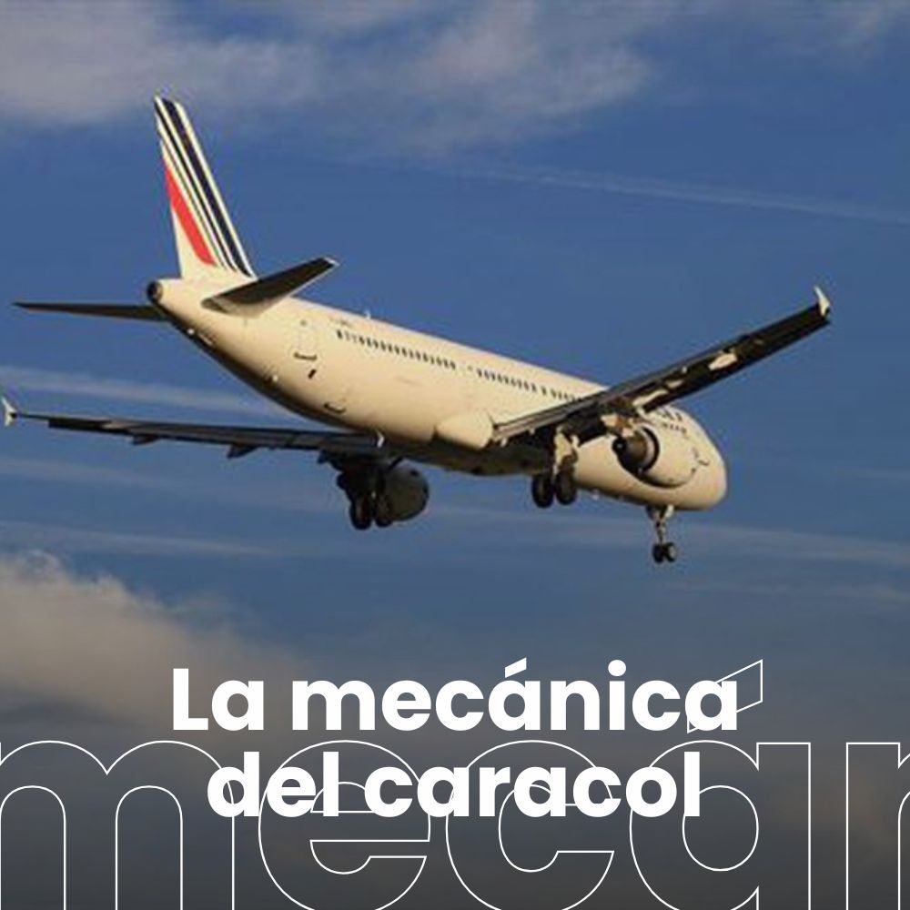 Optimizar los vuelos para reducir su impacto ambiental. El dilema del aire acondicionado. #Sugebizi, conocer las serpientes