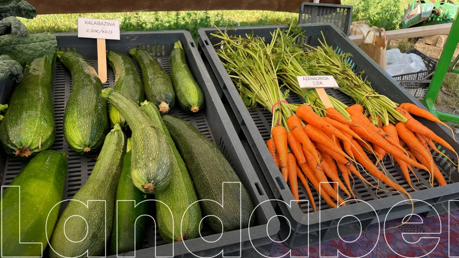 Elikaduraren gizarte topaketak Gasteizen