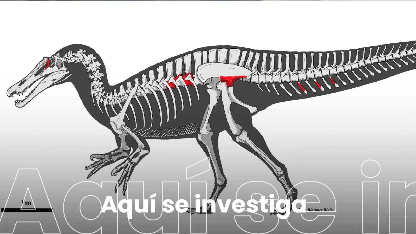 El espinosaurio y la reconstrucción de paleoambientes del pasado