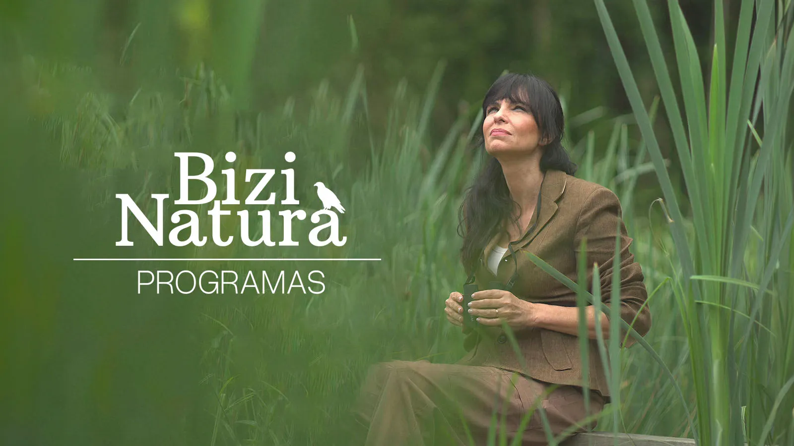 Programas