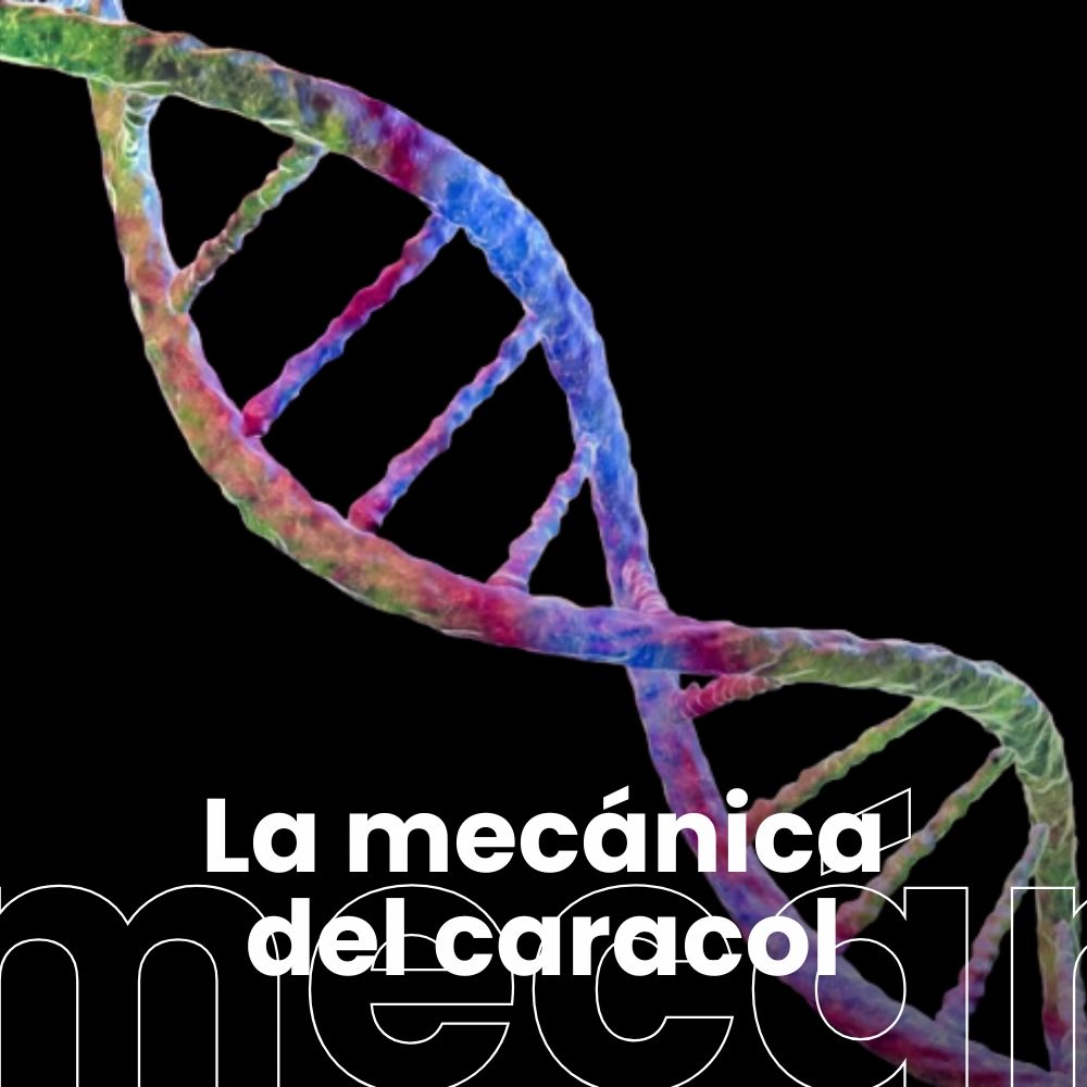 Lo que el ADN descubre de nuestra identidad.Los inventos de la exploración espacial
