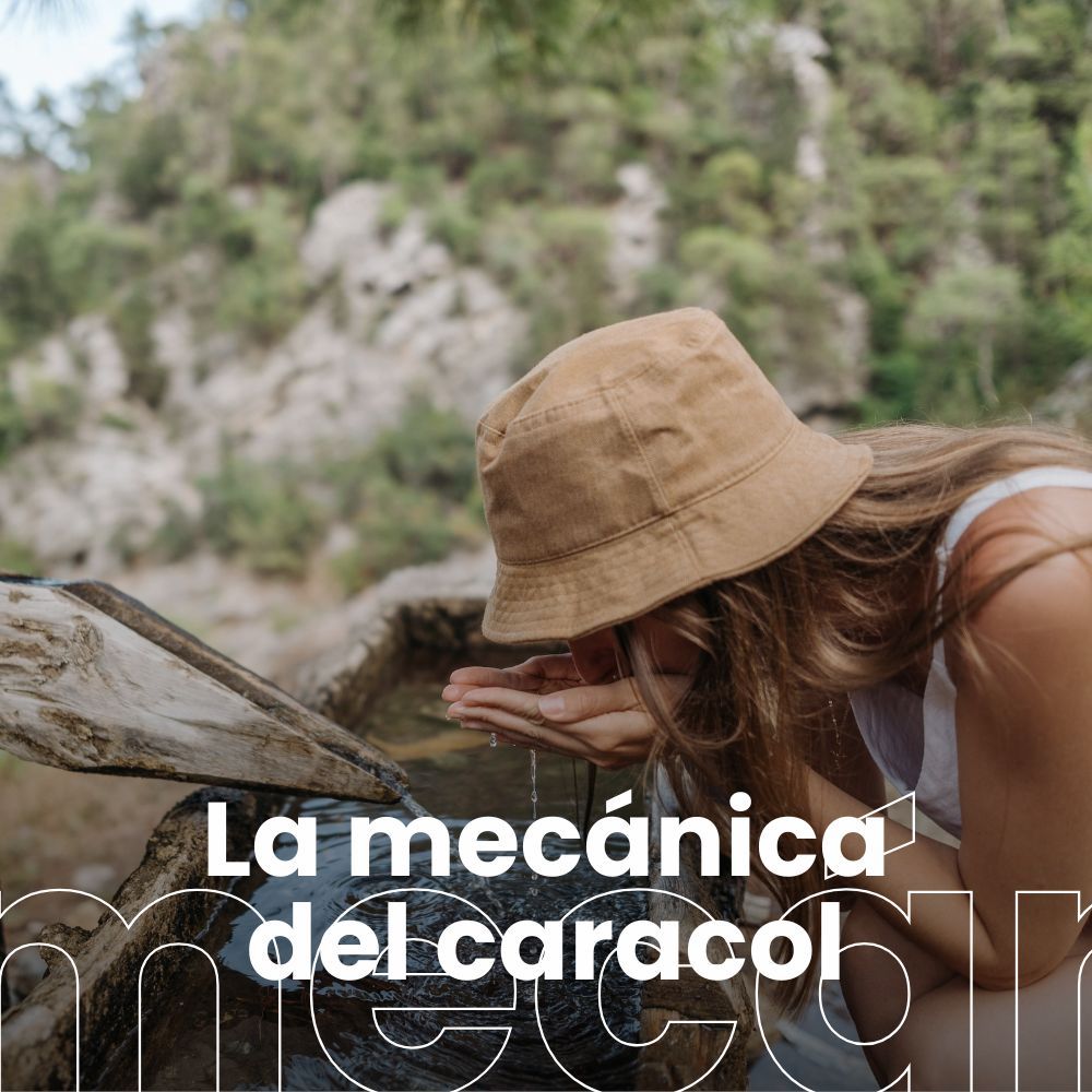 Soportar el calor no significa que no haya riesgo para la salud. Los gatos...mejor en casa