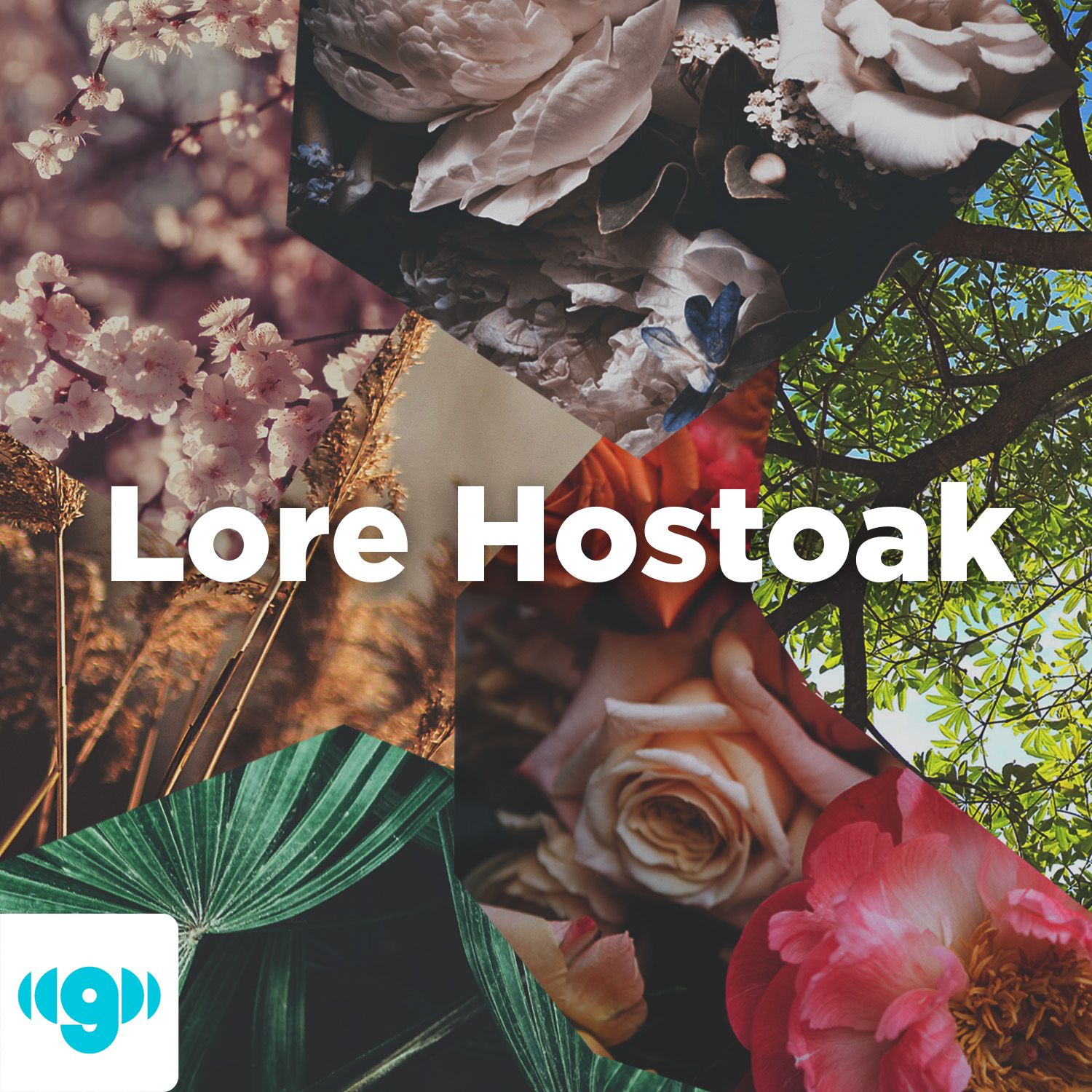 Lore Hostoak cover