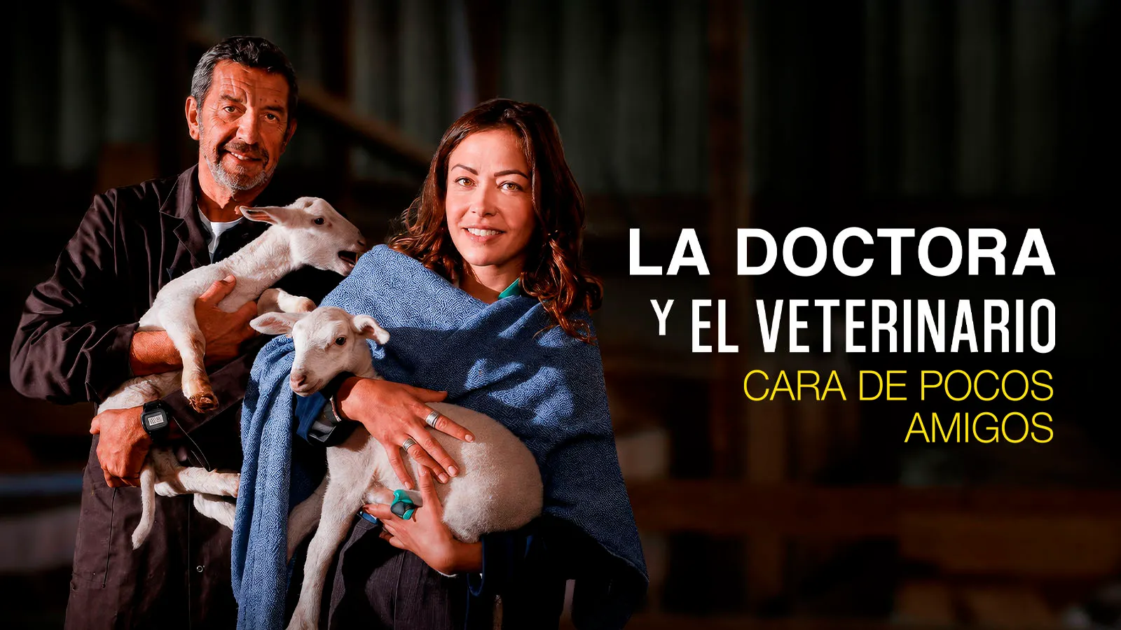 La doctora y el veterinario: Cara de pocos amigos