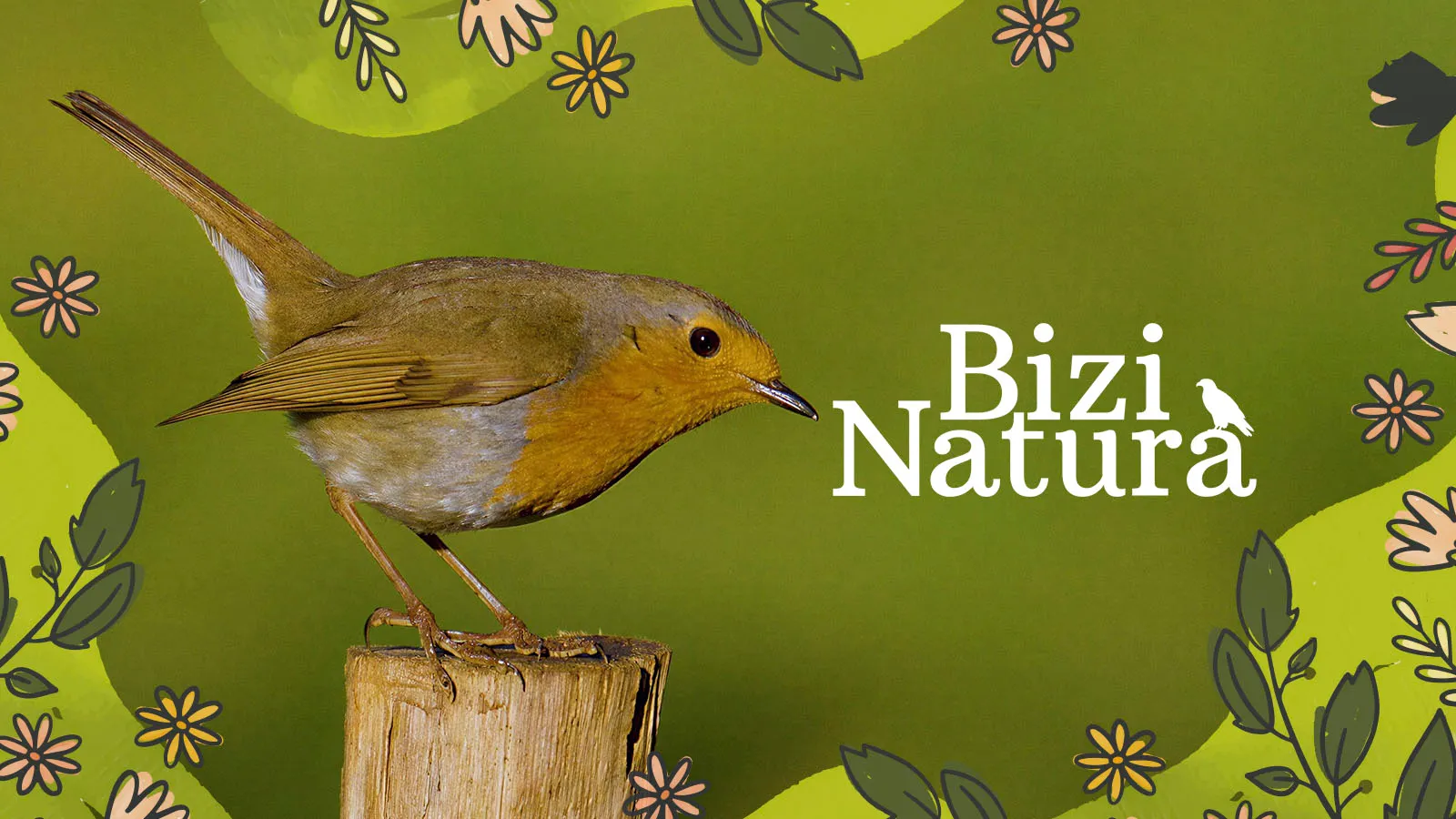 Bizi natura