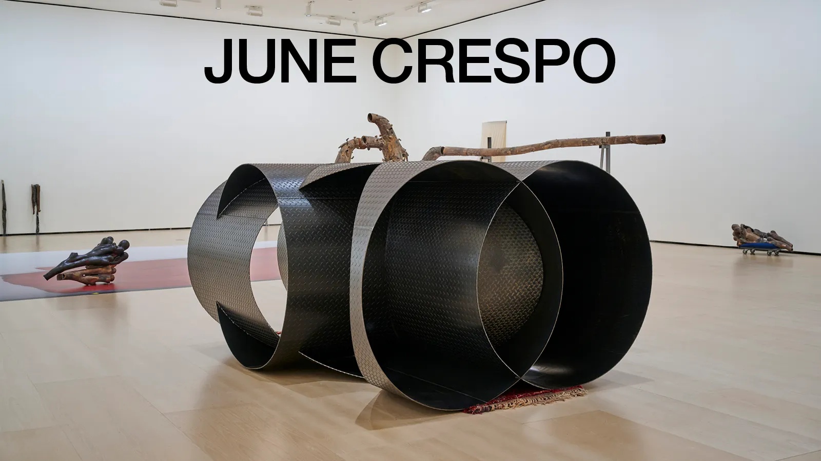 June Crespo. Baskularra  | June Crespo. Vascular