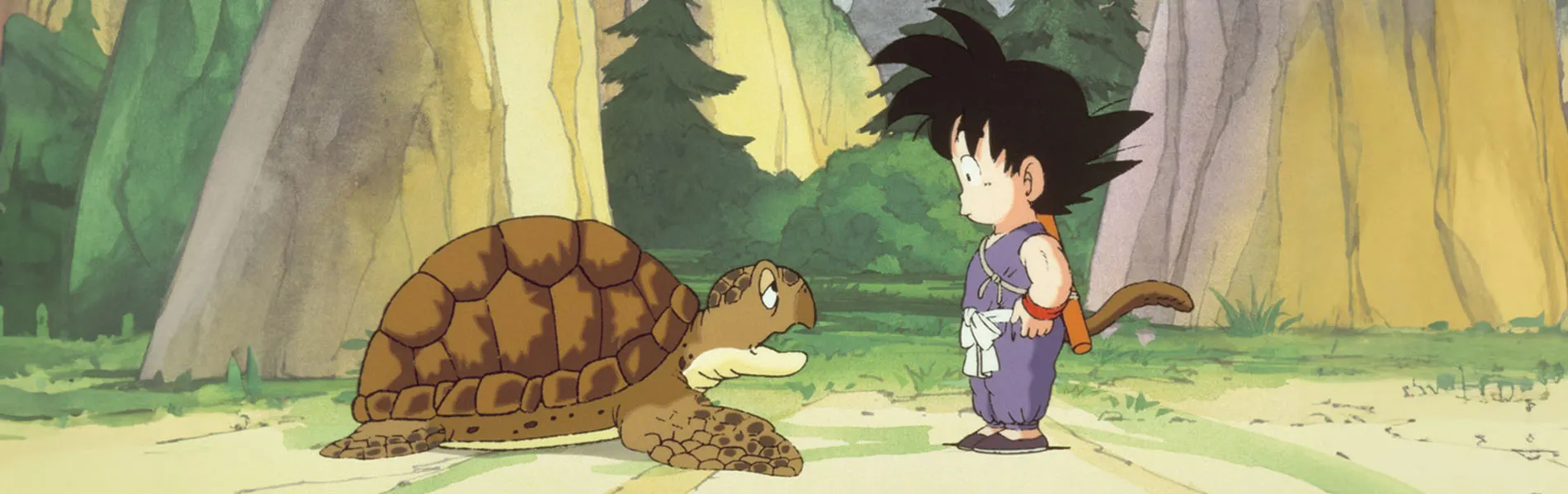 3. Las nubes de Tortuga Duende