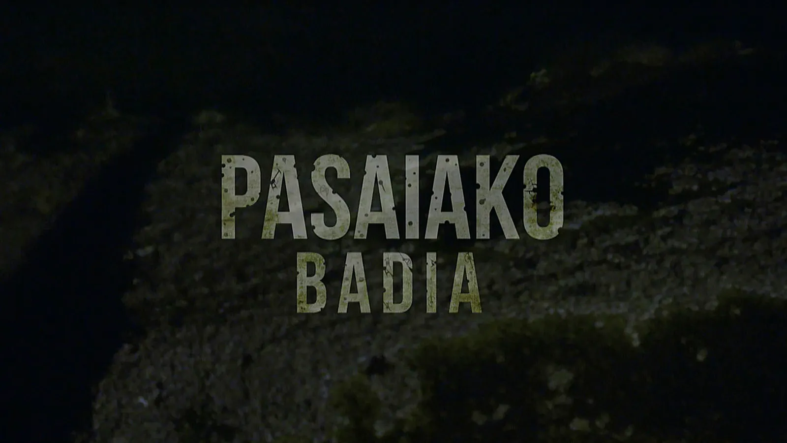 Bahia de Pasaia