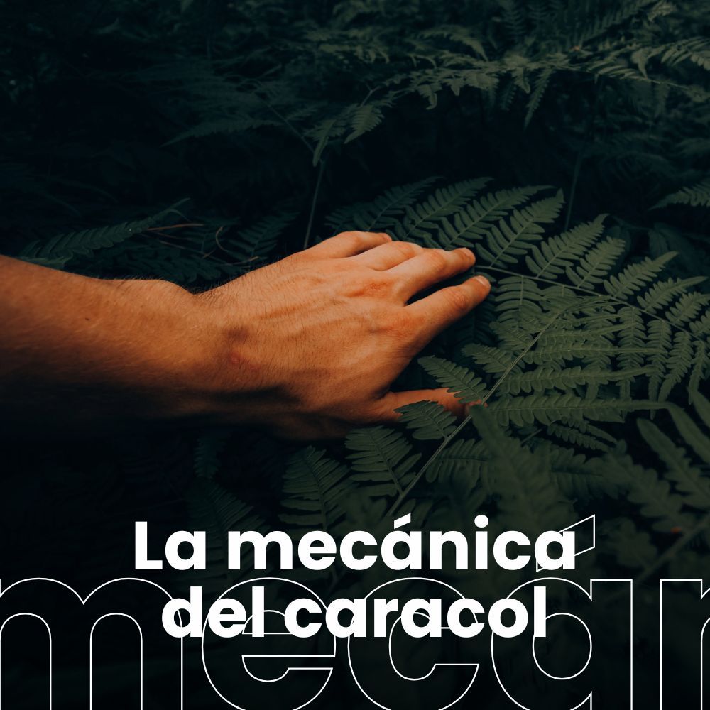 Nace EHU-iBio para estudiar cómo el entorno influye en la salud humana y animal. Biarteko mugi estrena recorrido